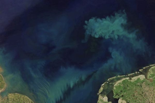 Современный климат сильно меняет цвет мировых океанов