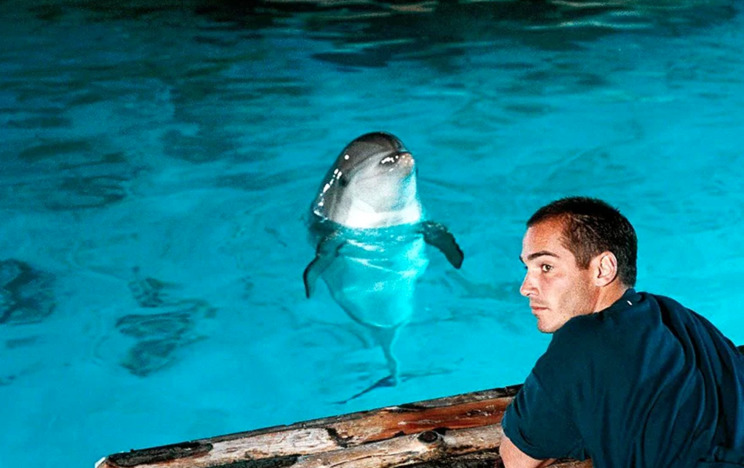 Что посмотреть на VOKA: пять фильмов с атмосферой лета