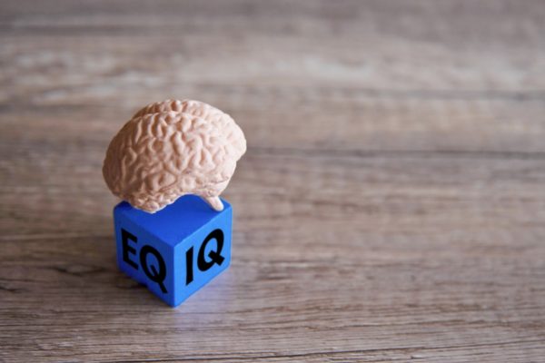 Беларусь вошла в топ-список стран по уровню IQ населения 