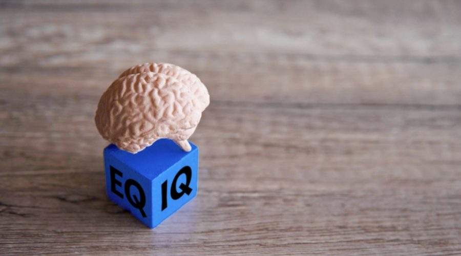 Беларусь вошла в топ-списко стран по уровню IQ жителей