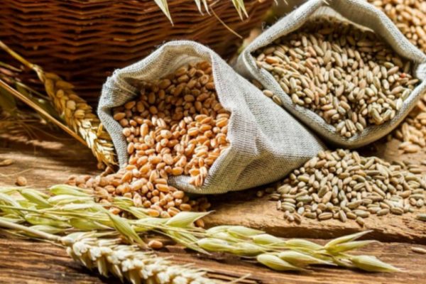ЕАЭС вводит обновленные стандарты безопасности зерна для усиления контроля и развития торговли