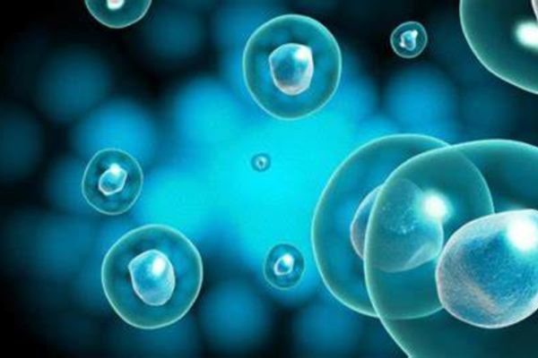 Белорусские лаборатории переходят на клеточные технологии второго поколения