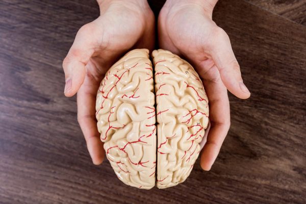 Генетика и среда: ученый объяснил, от чего зависит гениальность