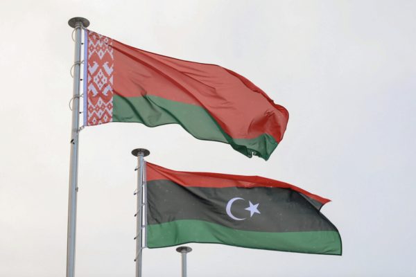 Ливия выразила заинтересованность в белорусском медобразовании и технологиях