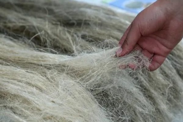 Старт пилотного проекта по экспорту белорусского льноволокна