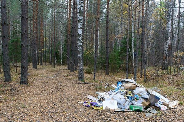 Минприроды усилило контроль в сфере обращения с отходами