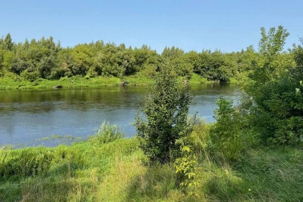 Почти по всей республике введены ограничения на посещение лесов