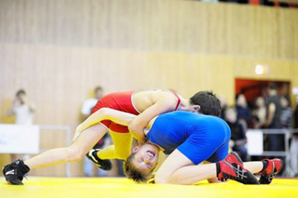 Турнир по вольной борьбе на призы Микелиса в  Гродно 