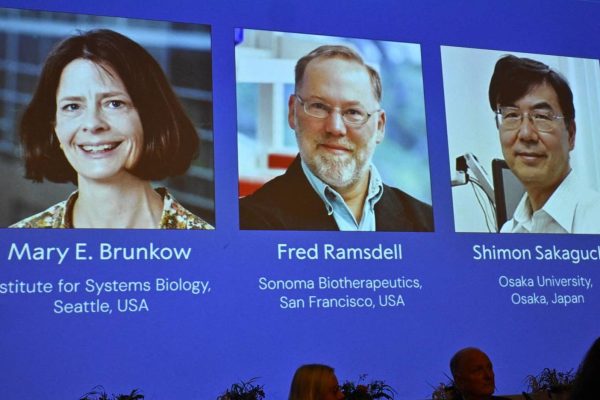 Ученые, раскрывшие тайну иммунной толерантности, стали лауреатами Нобелевской премии