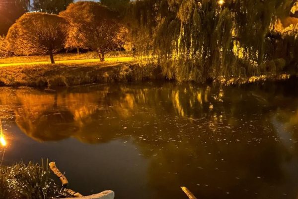 Загрязнённые сточные воды попали в Свислочь в Минске, экологи ищут виновных