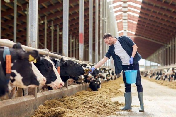 Белорусский АПК планирует поставлять в Китай муку, крупы, мясо и молочку