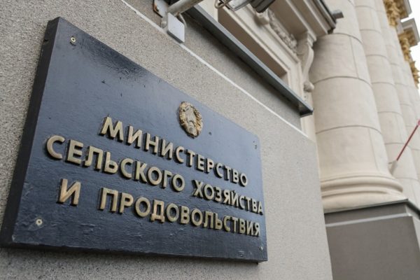 Общественное обсуждение проекта постановления продлится до 22 декабря