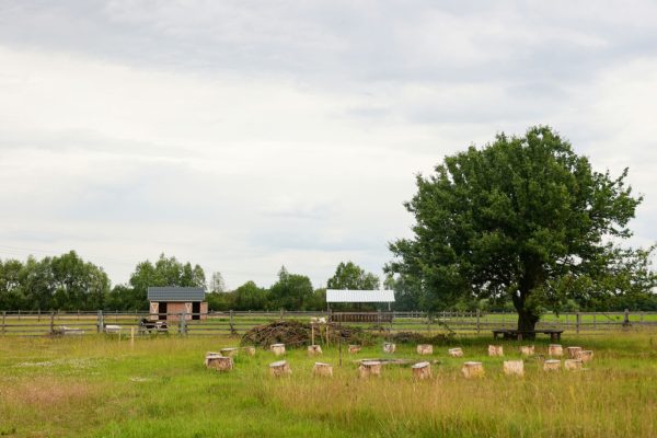 Лукашенко подписал указ об изменении расчета арендной платы за землю