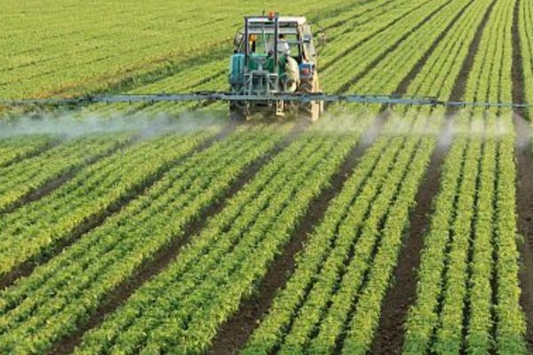 Электронные карты и онлайн-мониторинг: как внедряют инновации в аграрном секторе Беларуси