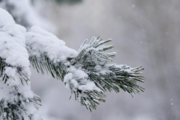 В Беларуси ночью 12 января ожидаются морозы до -25°C и гололедица 