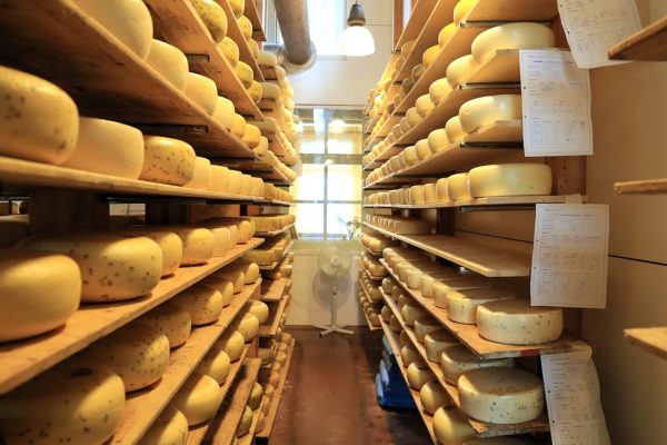 Кобринский МСЗ нарастил экспортную выручку до $116 млн