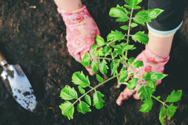 Во время посевной в Беларуси выявили около 5 тыс. нарушений