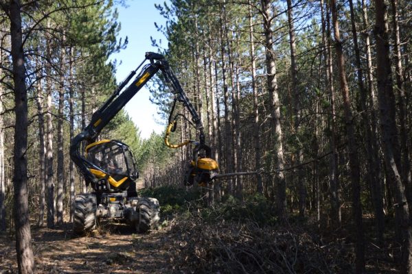 «МТЗ-Холдинг» представит лесозаготовительную технику на выставке в Логойске